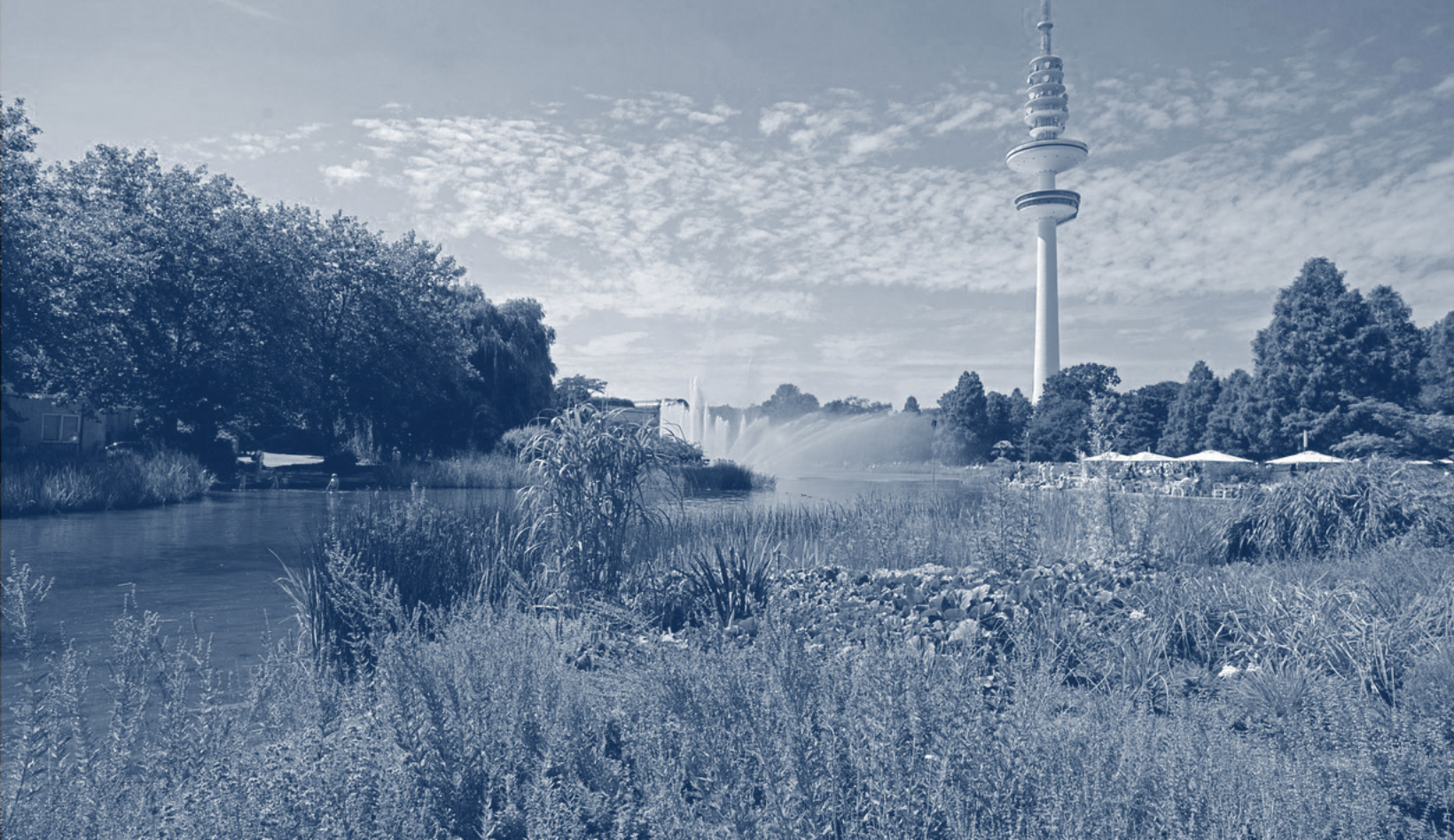 Bild vom Hamburger Fernsehturm mit Parkanlage im Vordergrund